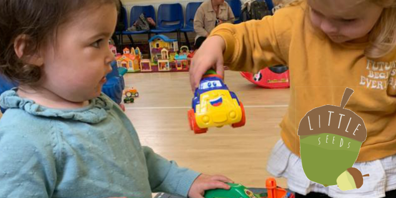 Little Seeds Toddler Group 